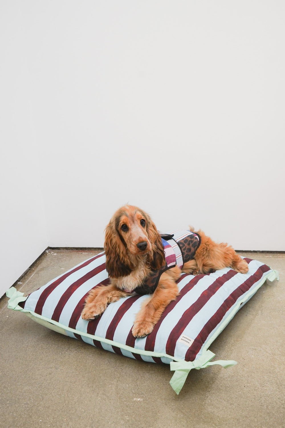 pet bed- multi stripe